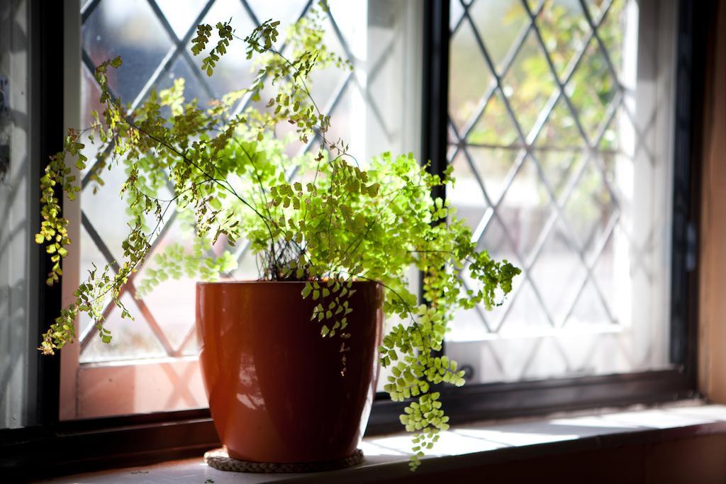 Kester House Hurst Green  Bagian luar foto